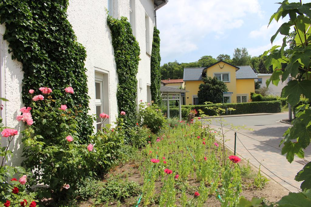 Baltisches Haus Pension Moll Zinnowitz Buitenkant foto