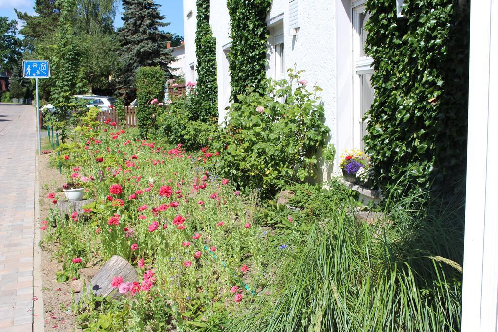 Baltisches Haus Pension Moll Zinnowitz Buitenkant foto